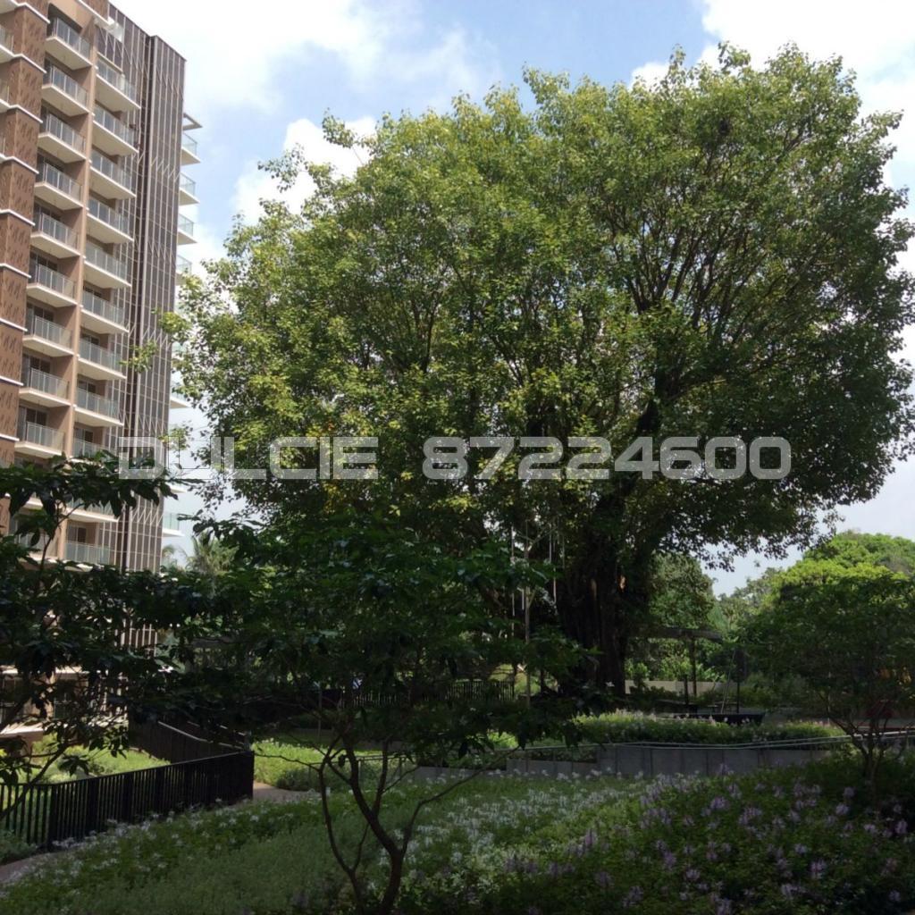 Bartley Residences (D19), Apartment #89684692